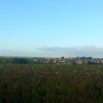 Pendant que Bordeaux rétrécit, Normandie et Bretagne plantent des vignes : la carte du vin français est en train de changer