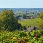 On vendangeait les rouges fin septembre. En 2026, les grands crus de Bordeaux entrent en cave ce 17 août