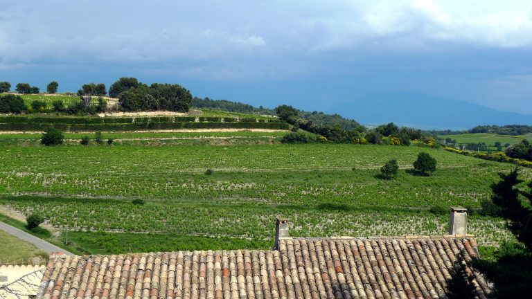 À Avignon, le Ban des Vendanges célèbre les Côtes du Rhône : une fête dans un millésime 2026 hors normes