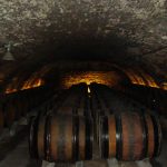 Ce que le projet Volta révèle sur les blancs de Bourgogne : pourquoi certains vieillissent dix ans et d’autres s’oxydent en deux