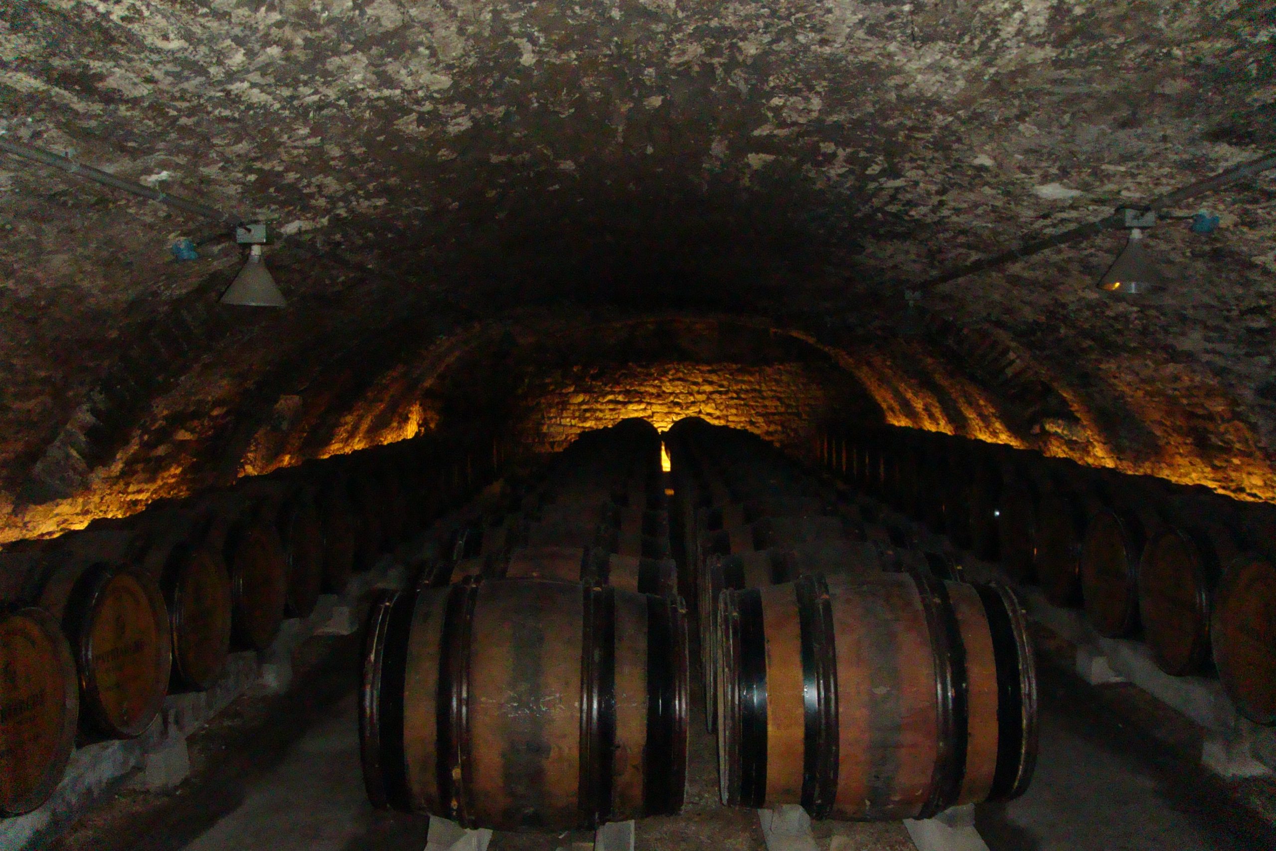 Cave avec barriques de chardonnay en Bourgogne — élevage sur lies projet Volta