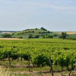 La France débloque 1 milliard d&rsquo;euros pour les agriculteurs en crise : ce que les vignerons vont toucher