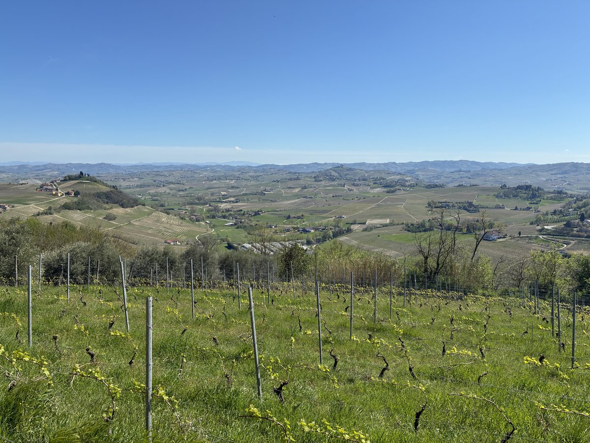 Panorama des collines viticoles autour de Costigliole d'Asti au printemps