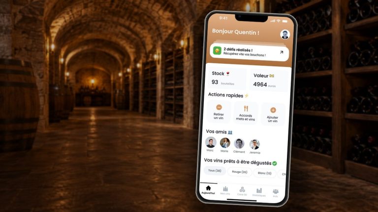 Gestion de cave à vin : la méthode complète et les outils gestion cave a vin une