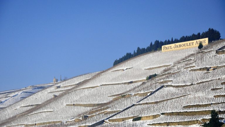 Hermitage 1990 à 10 316€, Raveneau +327% : les enchères de vins battent des records cet été