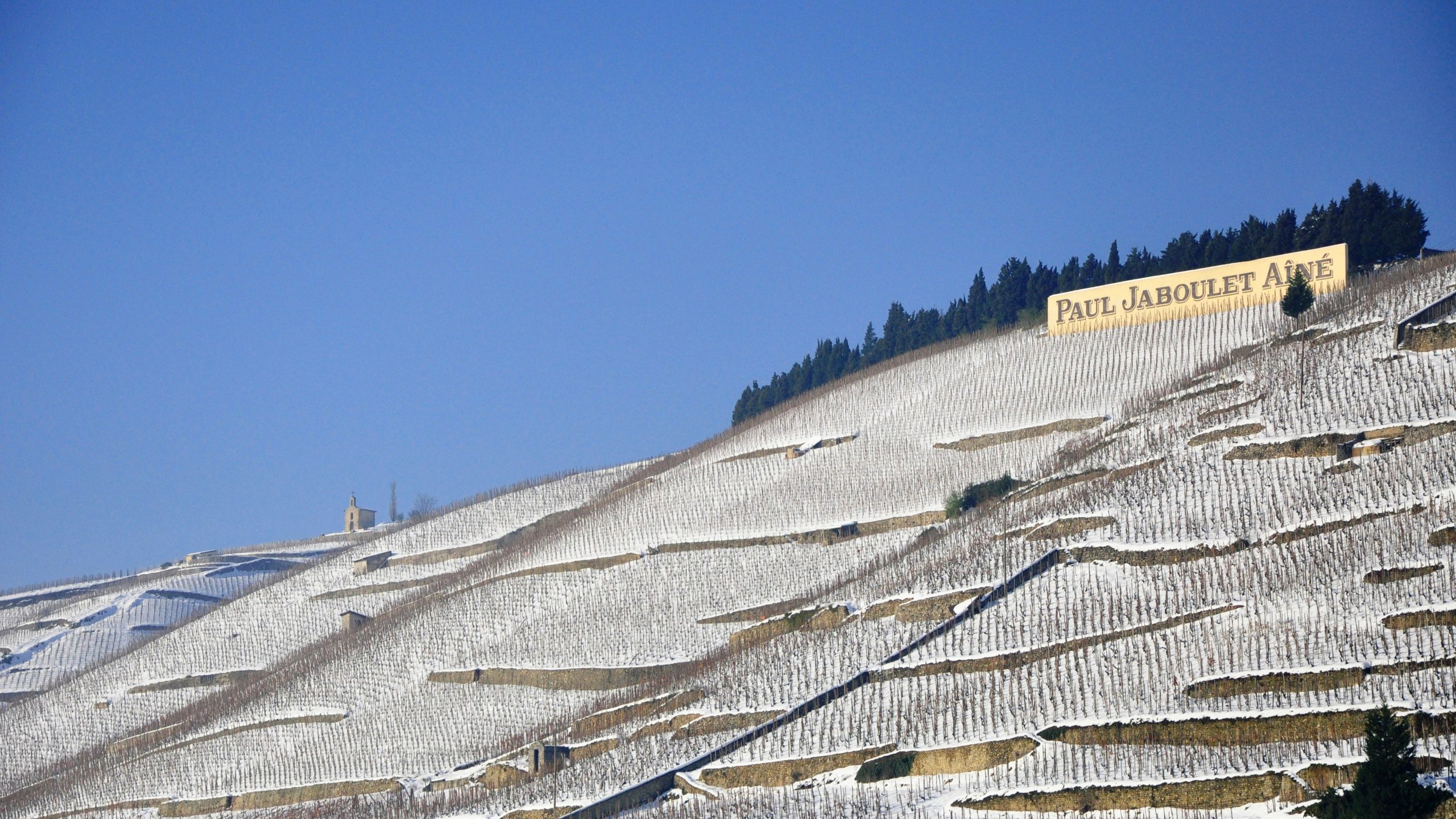 Vignoble Hermitage Paul Jaboulet Aine Rhone