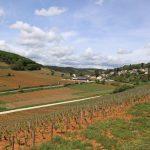 IWC 2026 : le Corton-Charlemagne d’Albert Bichot sacré meilleur vin blanc du monde, sur 2 400 bouteilles