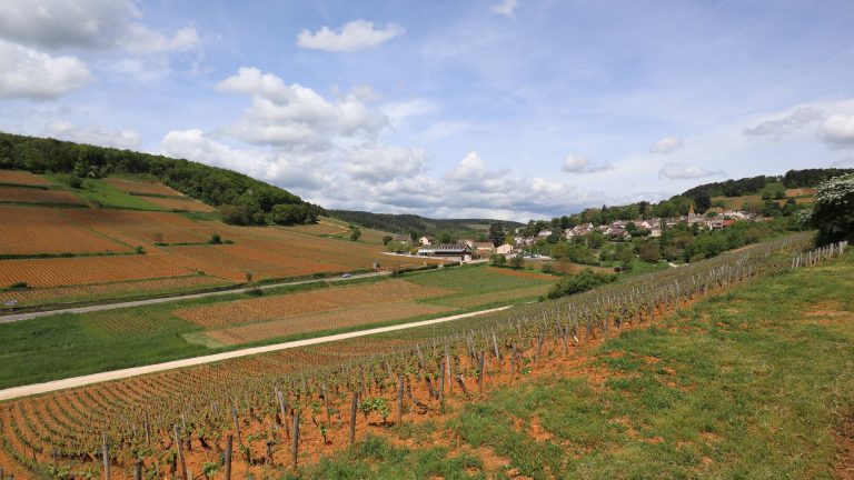 IWC 2026 : le Corton-Charlemagne d&rsquo;Albert Bichot sacré meilleur vin blanc du monde, sur 2 400 bouteilles