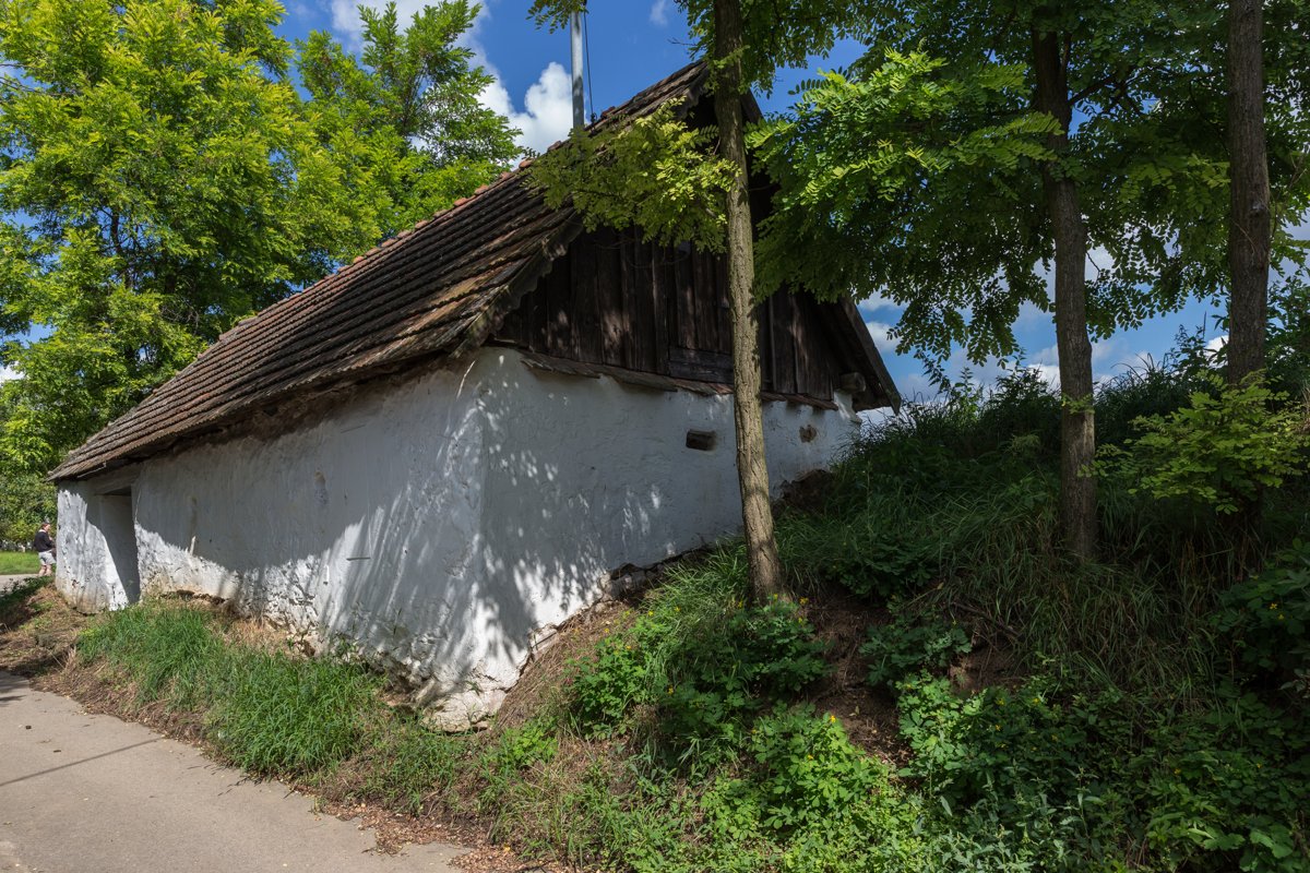 Maison de cave blanchie à la chaux dans une Kellergasse du Weinviertel