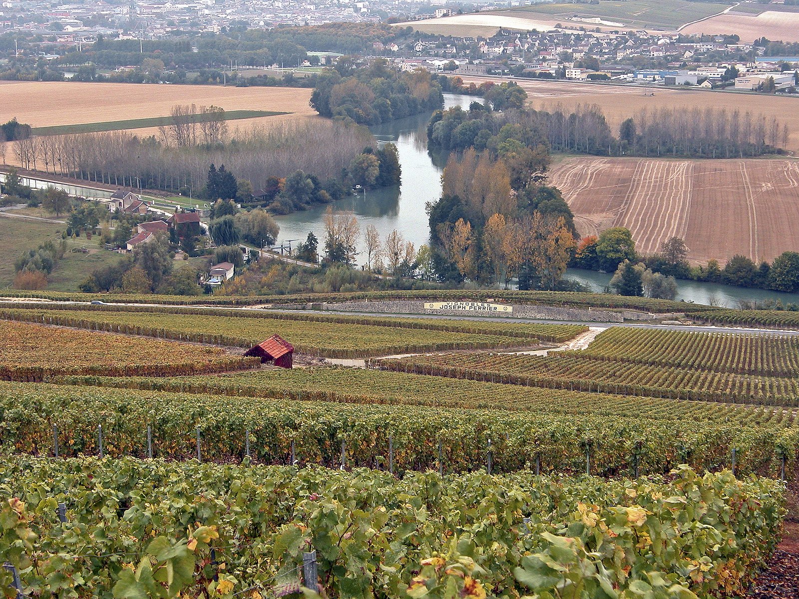 Vignes de Champagne à Hautvillers avec la vallée de la Marne en contrebas, en automne