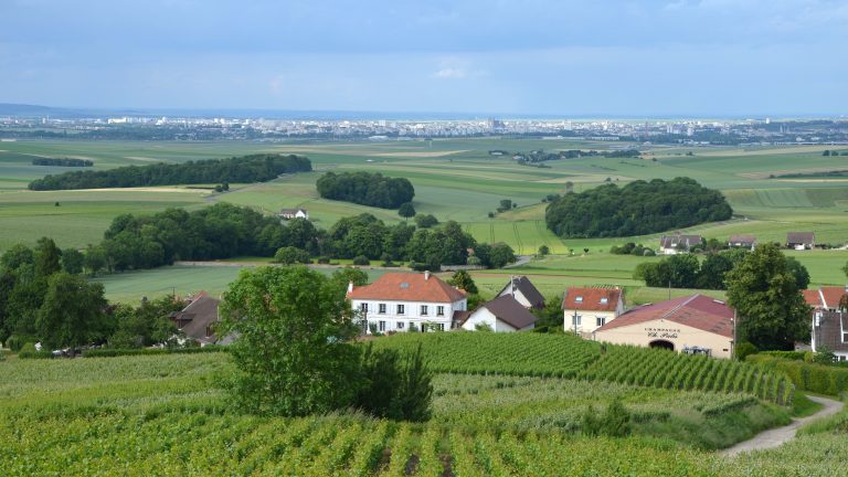 Bulles plus chères en Allemagne : une taxe de +20 % menace le Champagne et les crémants français