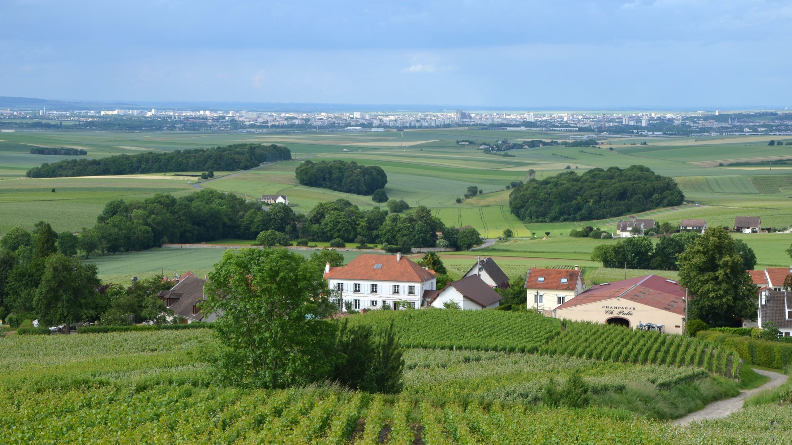 sektsteuer taxe bulles allemagne 2027 montagne reims champagne.jpg