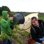 À Pomas, 150 bénévoles arrivent pour aider : le bilan de la tornade s&rsquo;alourdit au coeur des vendanges
