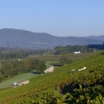 Semaine du 8 au 12 septembre 2026 : les 7 actus qui ont animé la filière vin
