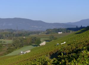 Semaine du 8 au 12 septembre 2026 : les 7 actus qui ont animé la filière vin