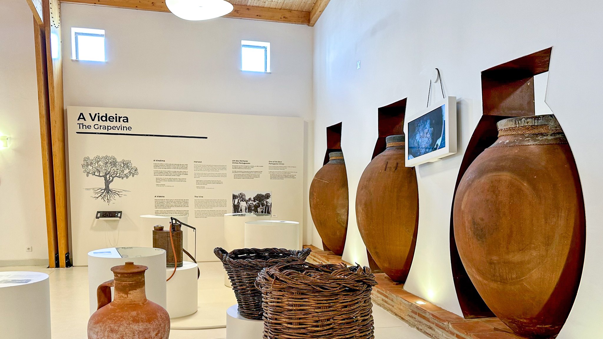 Talhas en terre cuite exposées au centre d'interprétation du vin de talha à Vila de Frades