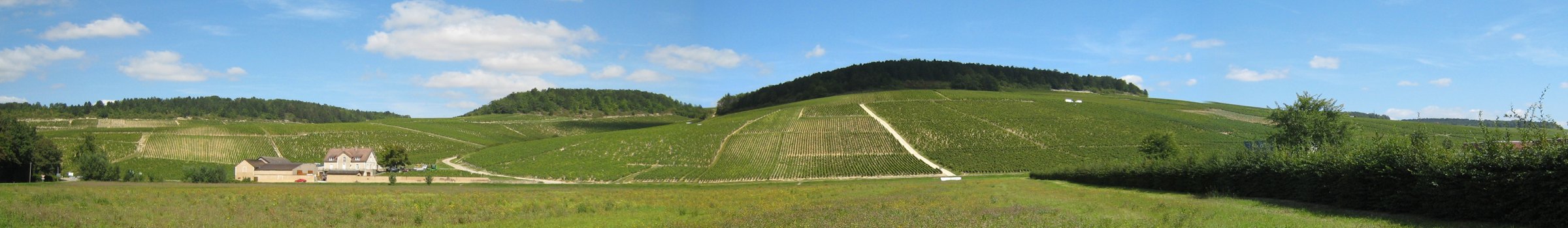 Panorama du coteau des grands crus de Chablis, au-dessus du Serein