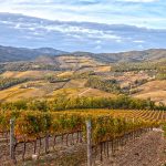 Italie 2027 : trois vignobles à explorer après l’annonce d’aides à l’œnotourisme