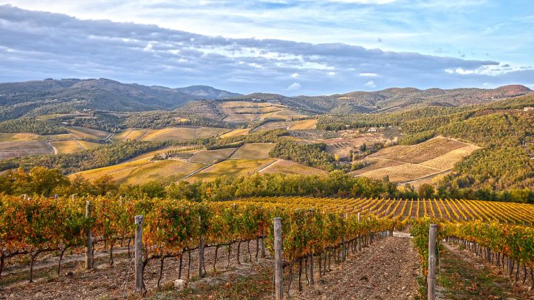 Italie 2027 : trois vignobles à explorer après l’annonce d’aides à l’œnotourisme