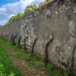 Les vignes qui traversent les murs : le Clos Cristal de Saumur-Champigny change de mains