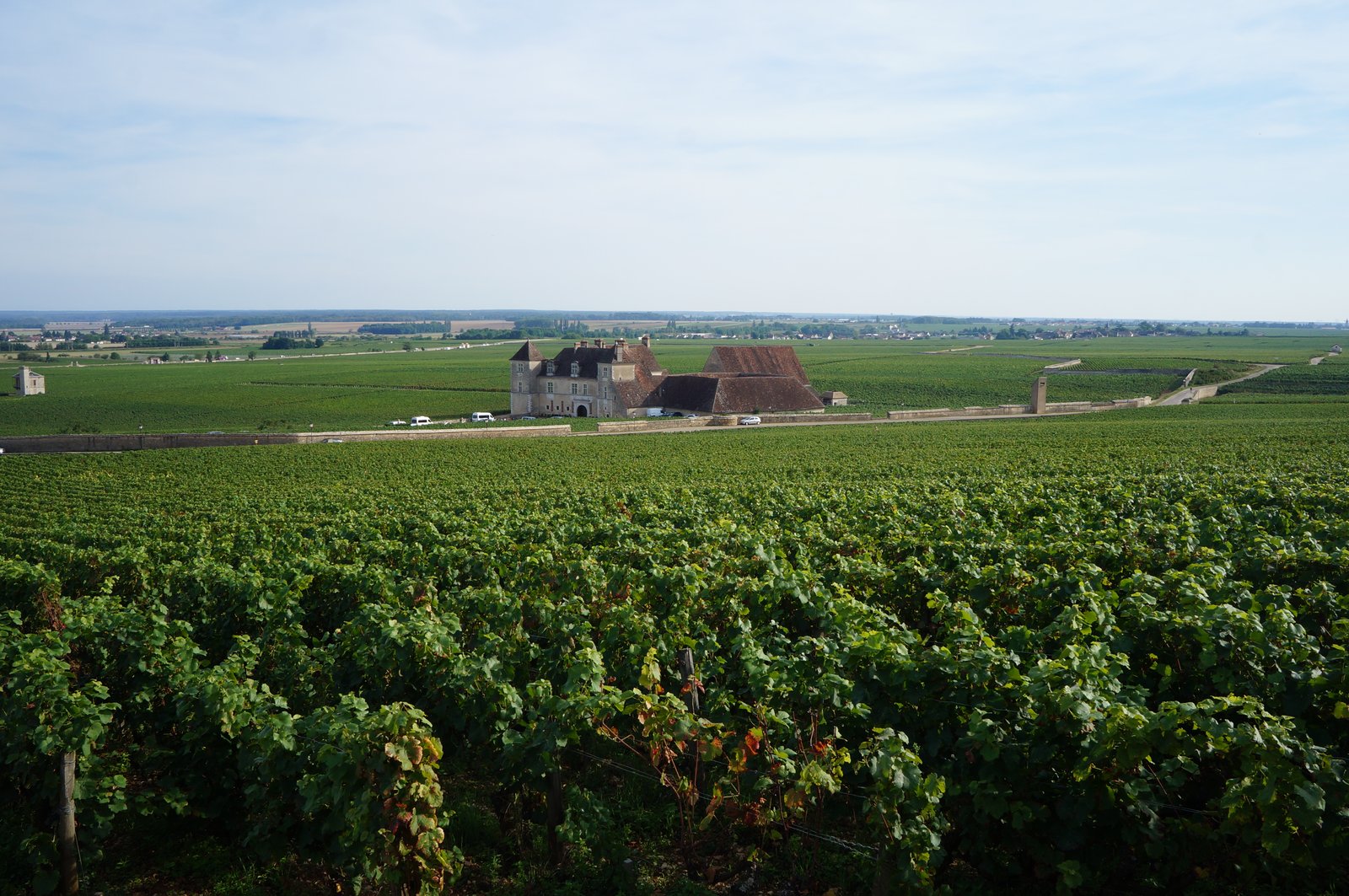 Les vignes du Clos de Vougeot grand cru avec le château en arrière-plan