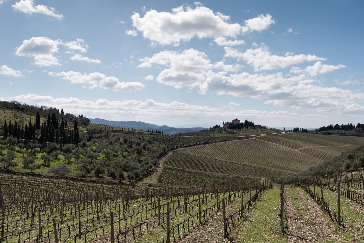 Vignobles de Gaiole dans le Chianti en Toscane