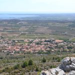 Vignes arrachées : dans le Roussillon, un vigneron plante un arbuste mexicain qui produit du latex