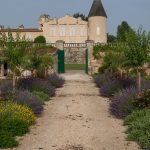 Biodynamie : à Lafite Rothschild, six ans d’essai et un sol qui respire 40 % de plus