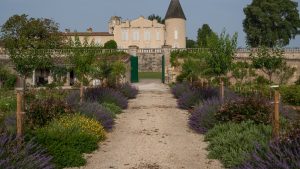 Biodynamie : à Lafite Rothschild, six ans d&rsquo;essai et un sol qui respire 40 % de plus