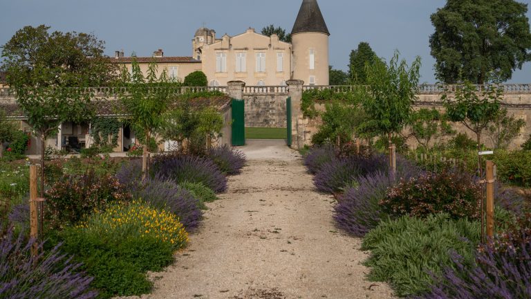 Biodynamie : à Lafite Rothschild, six ans d&rsquo;essai et un sol qui respire 40 % de plus
