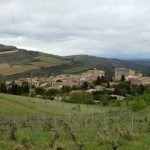 Limoux gagne du terrain en pleine crise : les bulles tiennent la barre