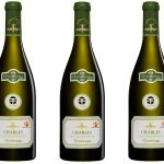 120 magnums de Chablis partis aux pôles : la vente qui finance la science