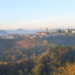 Oltrepò Pavese : l’export de vin de la province de Pavie bondit de près de 60 % en quatre ans