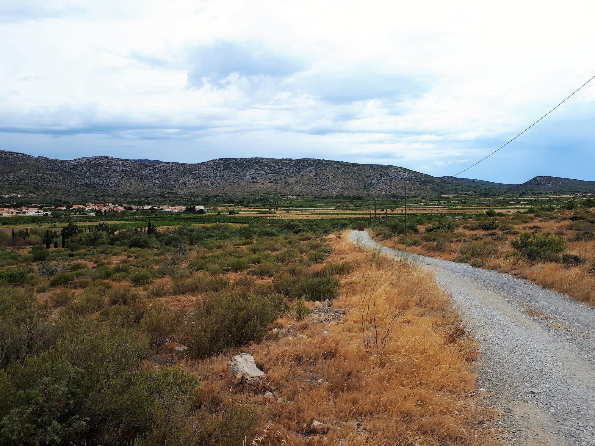 Chemin dans la plaine d'Opoul, entre garrigue, friches et parcelles de vigne