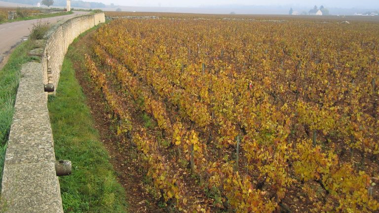12 milliards pour le patrimoine du vin ? Les deux chiffres qu’il ne faut pas additionner