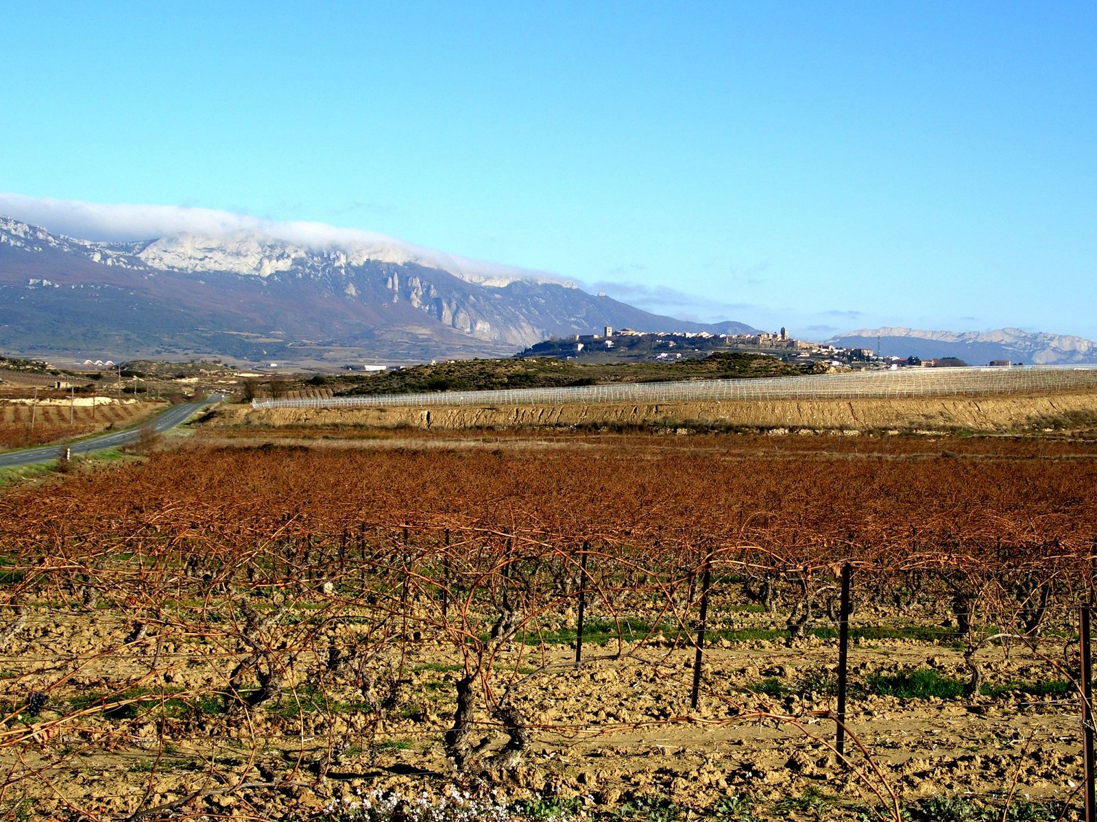 Vignes en hiver devant le village perché de Laguardia et la sierra de Cantabria en Rioja Alavesa