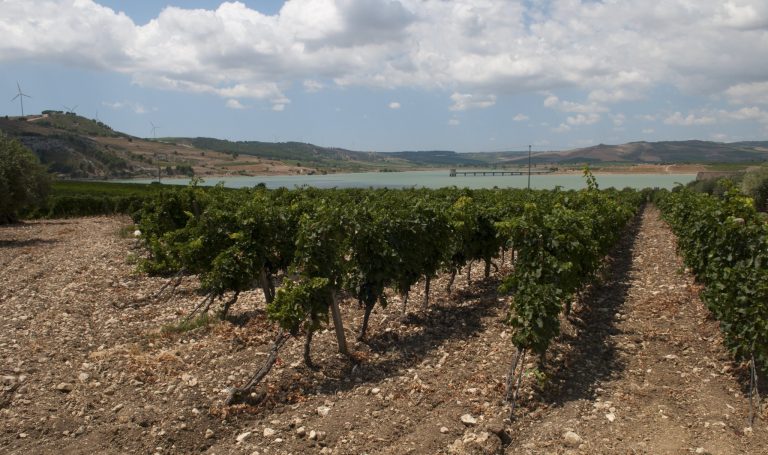 La Sicile sacrée région viticole de l&rsquo;année 2026 par Wine Enthusiast, pendant que ses vignerons crient à l&rsquo;aide