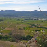Dans le Var, l’eau est passée là où le feu était passé : des caves de vignerons inondées