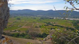 Dans le Var, l&rsquo;eau est passée là où le feu était passé : des caves de vignerons inondées