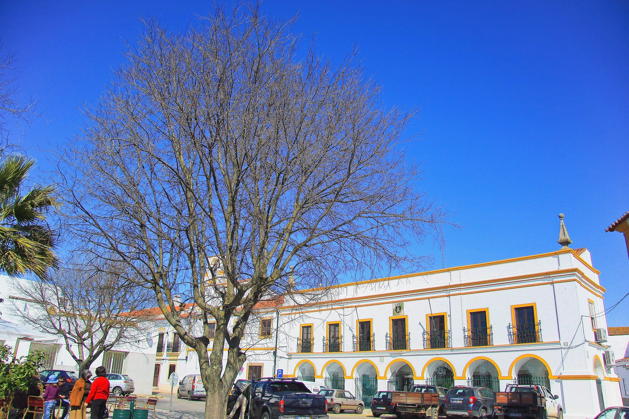Place centrale de Vidigueira dans l'Alentejo, au Portugal