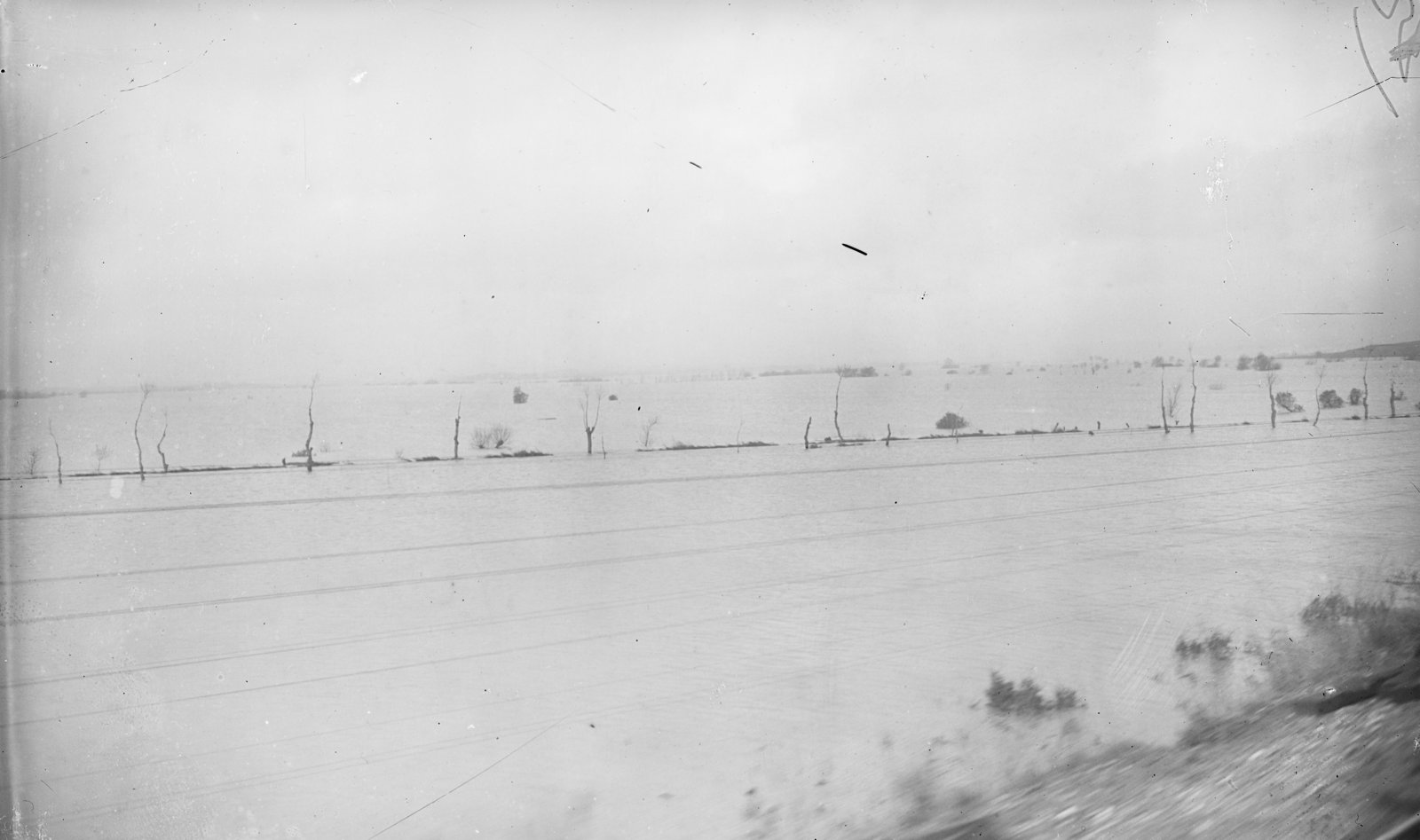 Vignes inondées entre Béziers et Coursan en 1932, photographie de l'Agence Rol