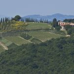 Meilleur vin d’Italie 2027 : le Corriere della Sera couronne le Brunello di Montalcino 2021 de Fuligni