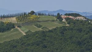 Meilleur vin d&rsquo;Italie 2027 : le Corriere della Sera couronne le Brunello di Montalcino 2021 de Fuligni