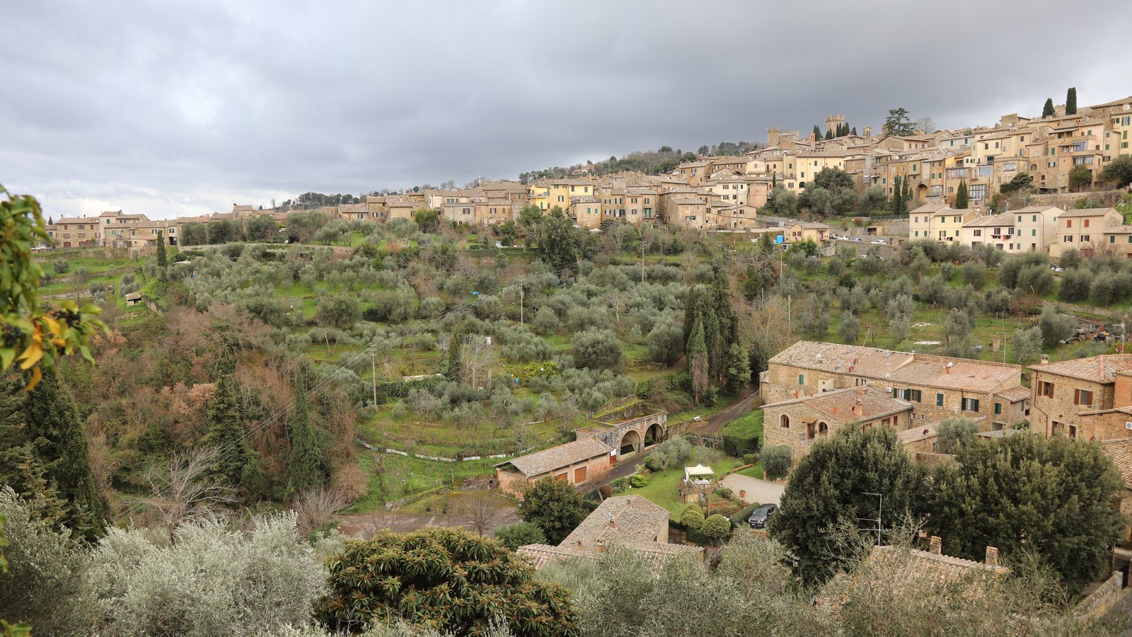 Le village de Montalcino et ses oliviers, sur sa colline toscane