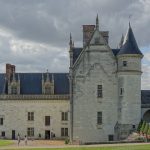 Amboise 2026 : 60 % de vin en moins, mais le dernier millésime « Touraine Amboise » avant l’AOC