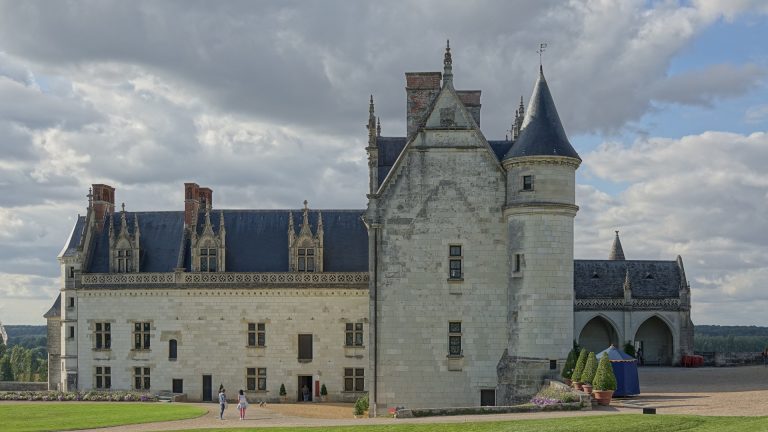 Amboise 2026 : 60 % de vin en moins, mais le dernier millésime « Touraine Amboise » avant l&rsquo;AOC
