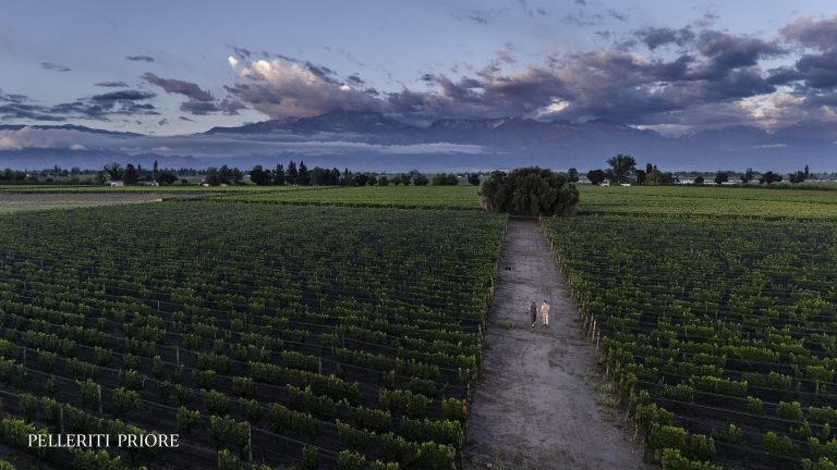 Le vin argentin bondit de 24,2 % en septembre, mais rapporte moins depuis janvier