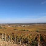 Christie’s ouvre les caves de Joseph Drouhin : plus de 400 lots de Bourgogne et d’Oregon aux enchères