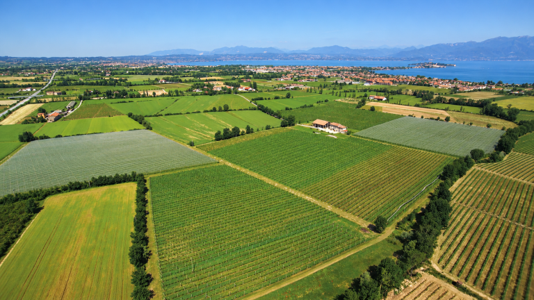 Le Lugana vend 65 % de son vin à l&rsquo;étranger : jusqu&rsquo;où peut-il monter en gamme ?