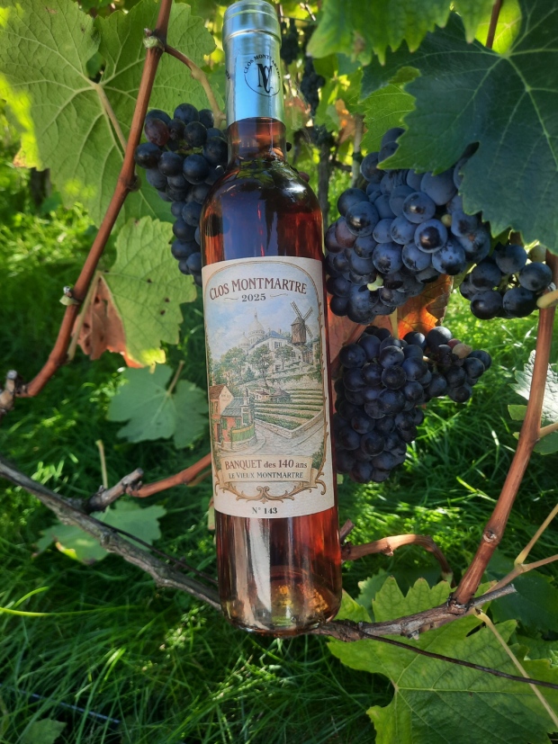 Bouteille réelle de la cuvée rosé 2025 du Clos Montmartre
